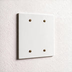 2-Gang Brass Blank Wall Plate