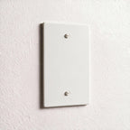 1-Gang Brass Blank Wall Plate