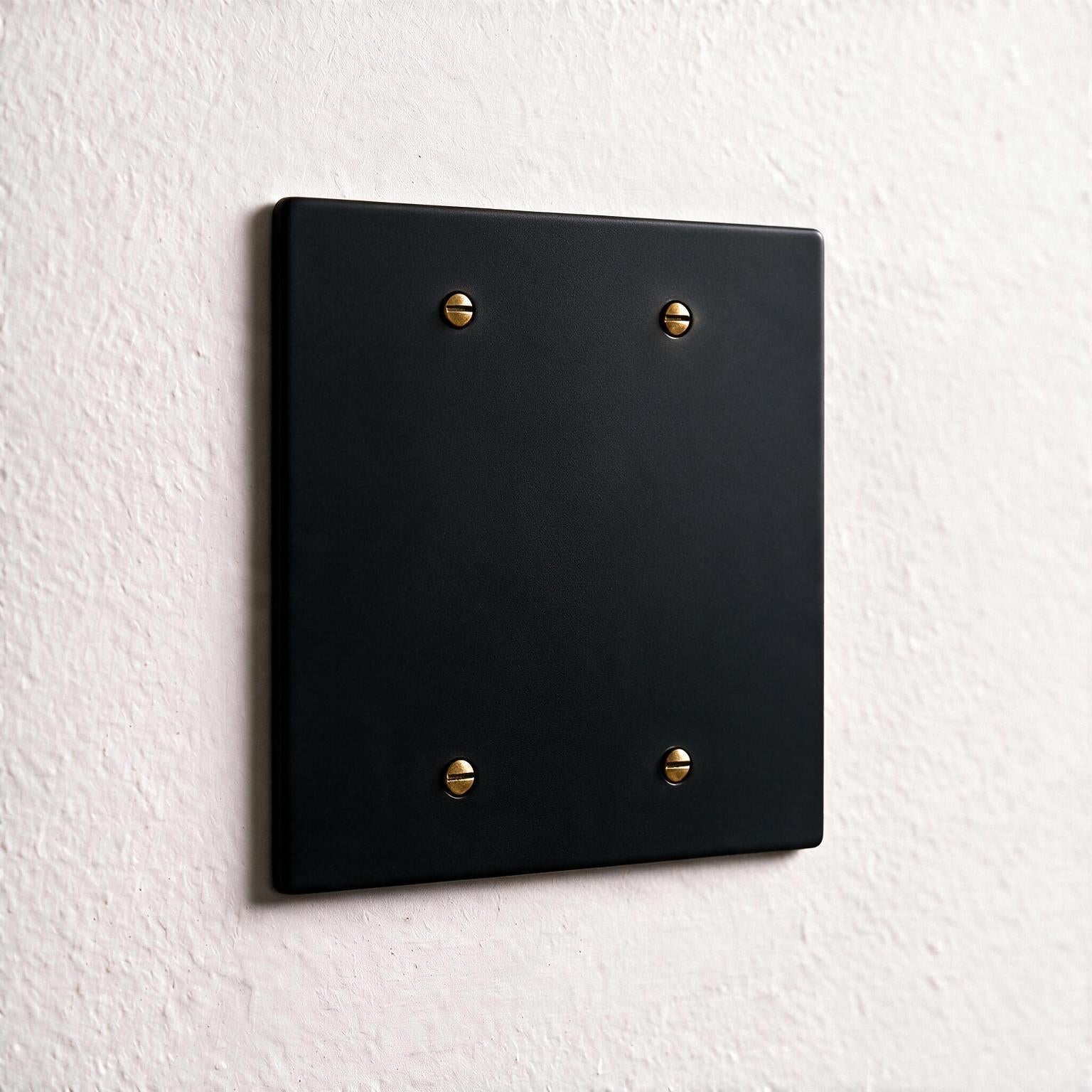 2-Gang Brass Blank Wall Plate