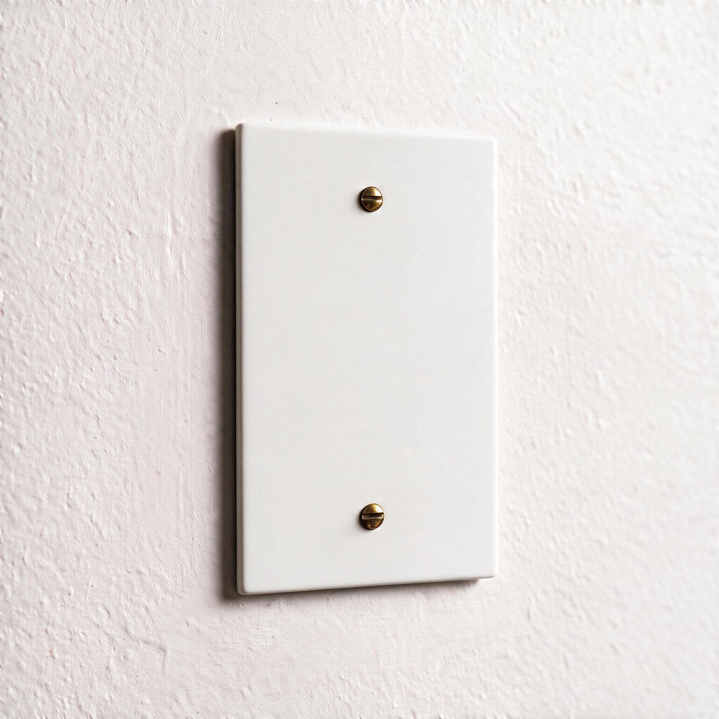 1-Gang Brass Blank Wall Plate
