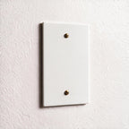 1-Gang Brass Blank Wall Plate