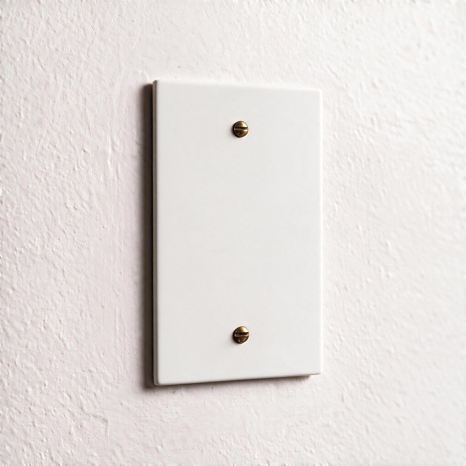 1-Gang Brass Blank Wall Plate