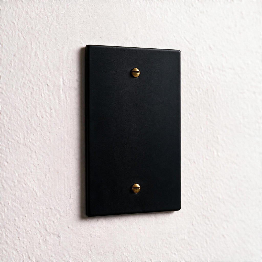 1-Gang Brass Blank Wall Plate