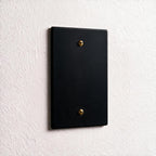 1-Gang Brass Blank Wall Plate