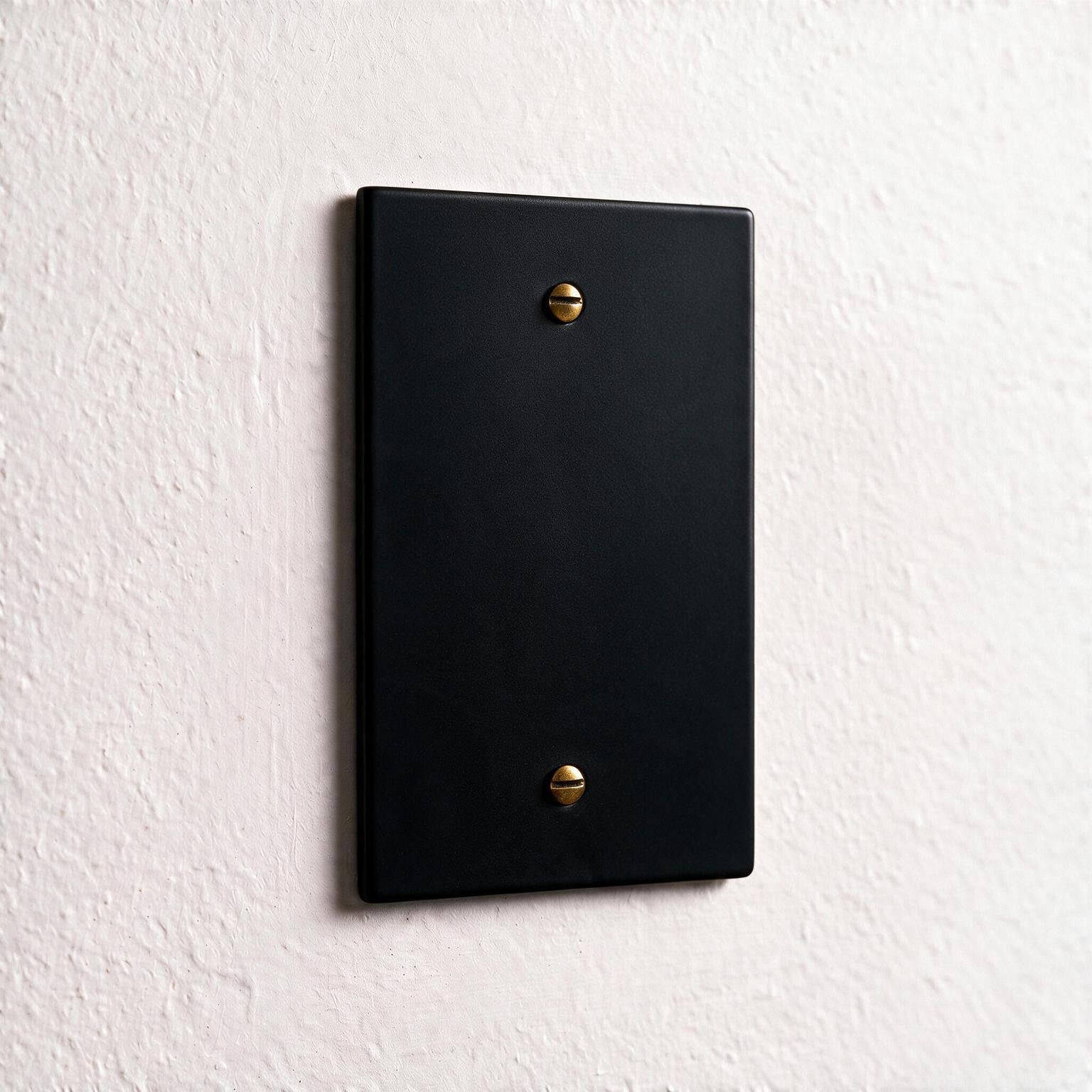 1-Gang Brass Blank Wall Plate