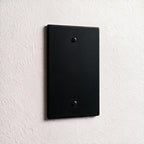 1-Gang Brass Blank Wall Plate