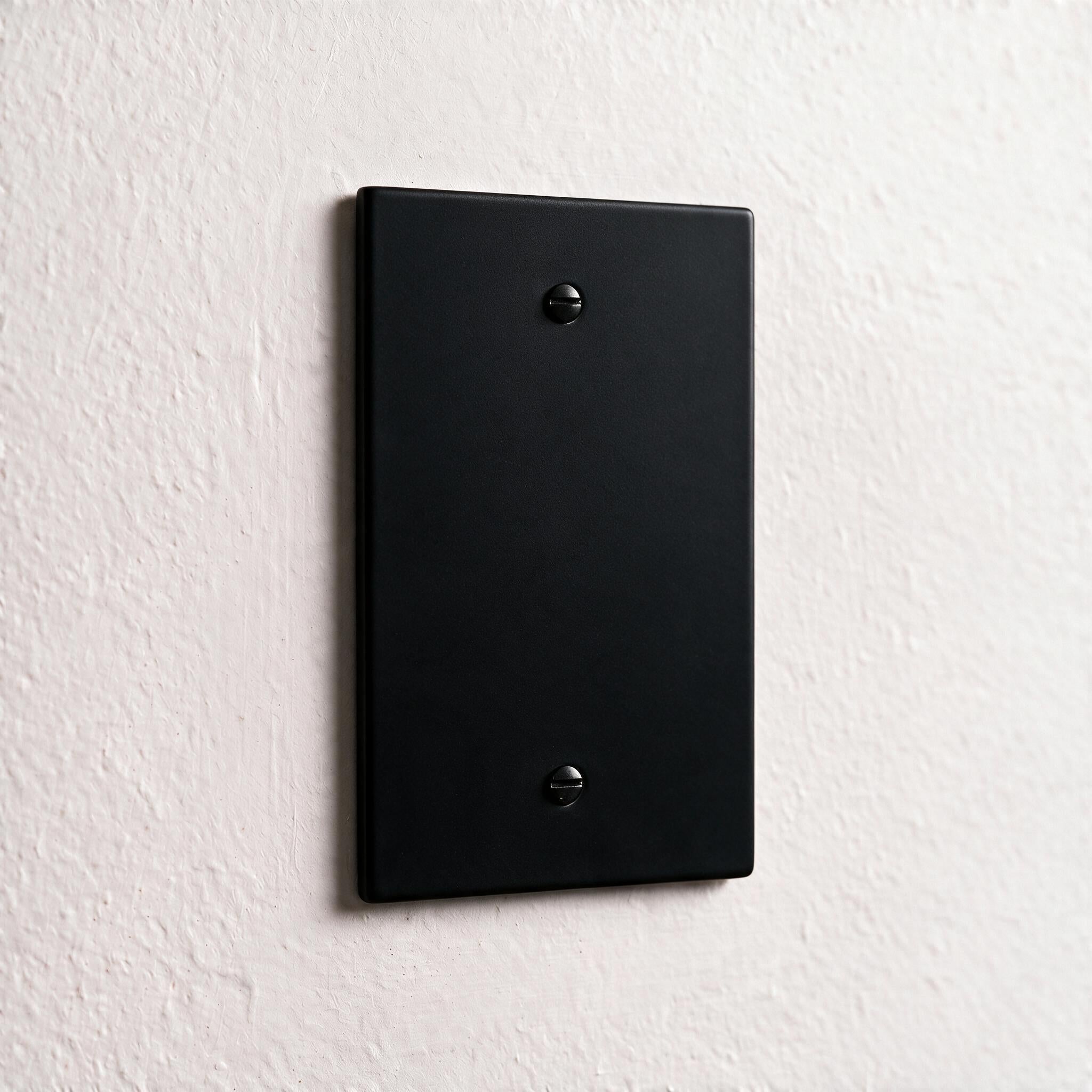 1-Gang Brass Blank Wall Plate
