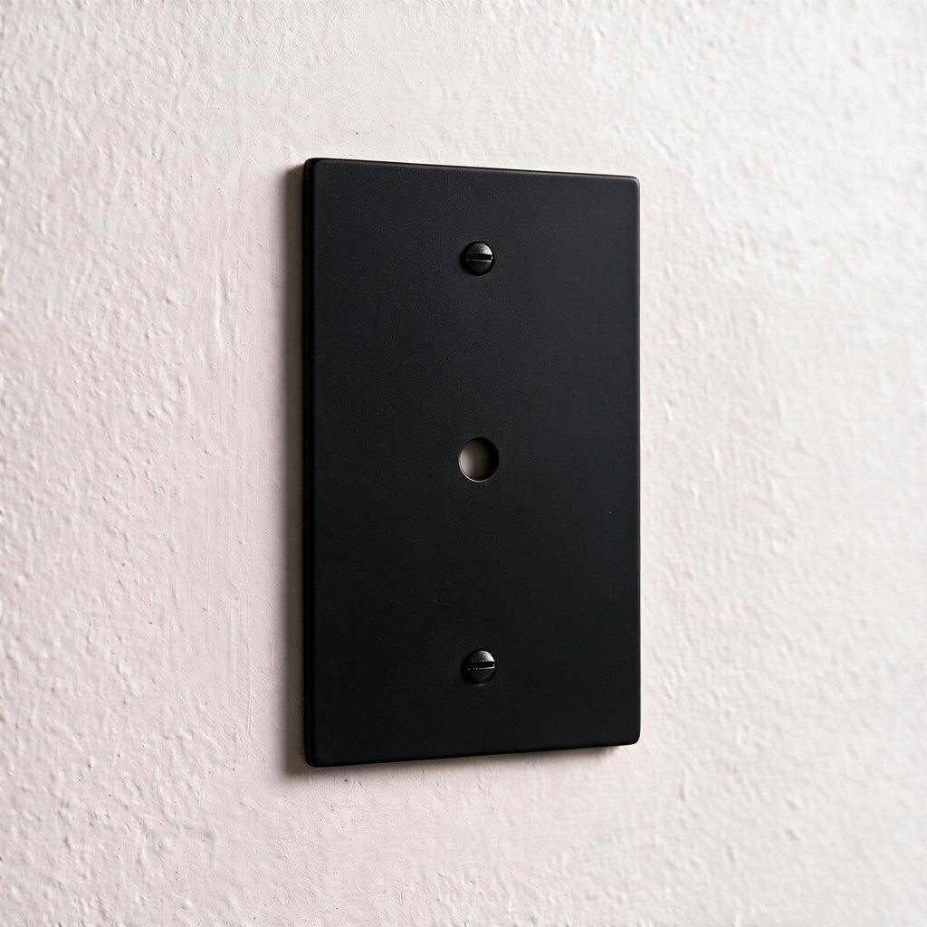 1-Gang Brass Dimmer Wall Plate (Rotary Opening)