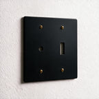 2-Gang Solid Brass Dimmer + Toggle Wall Plate