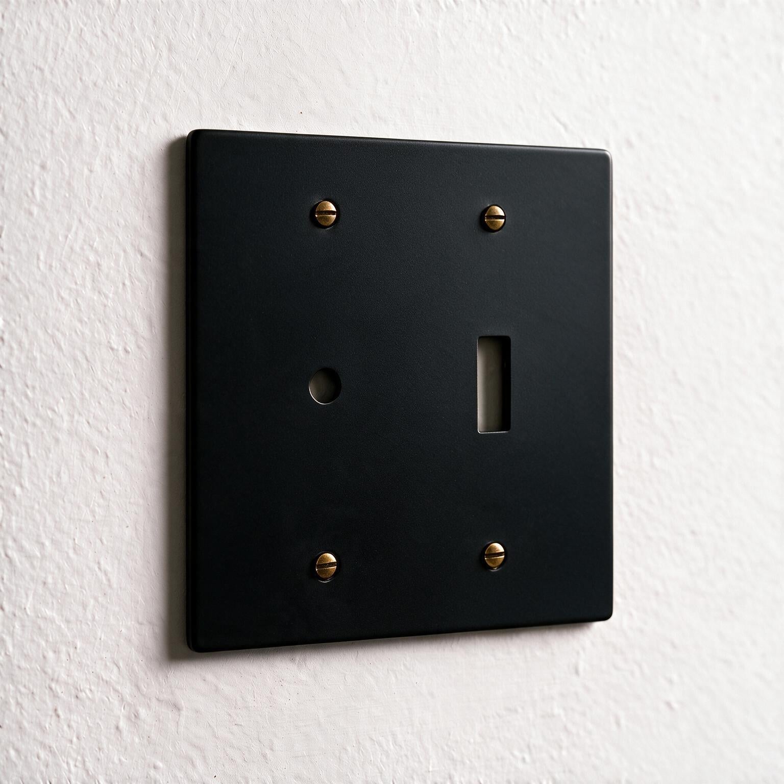 2-Gang Solid Brass Dimmer + Toggle Wall Plate