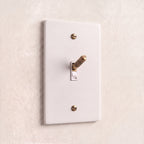 1-Gang Solid Brass Knurled Toggle Light Switch