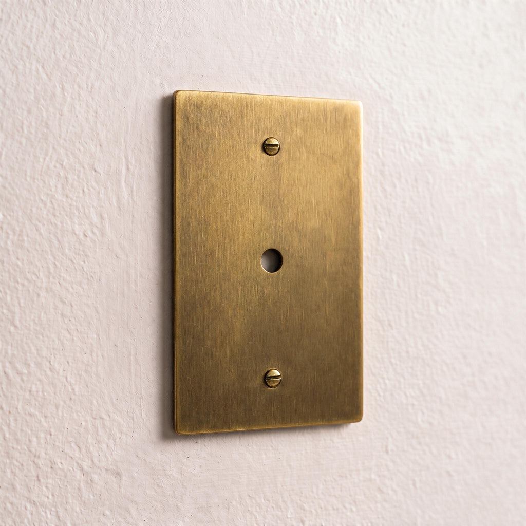 1-Gang Brass Dimmer Wall Plate (Rotary Opening)