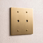 2-Gang Solid Brass Dimmer Wall Plate