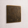 2-Gang Brass Blank Wall Plate