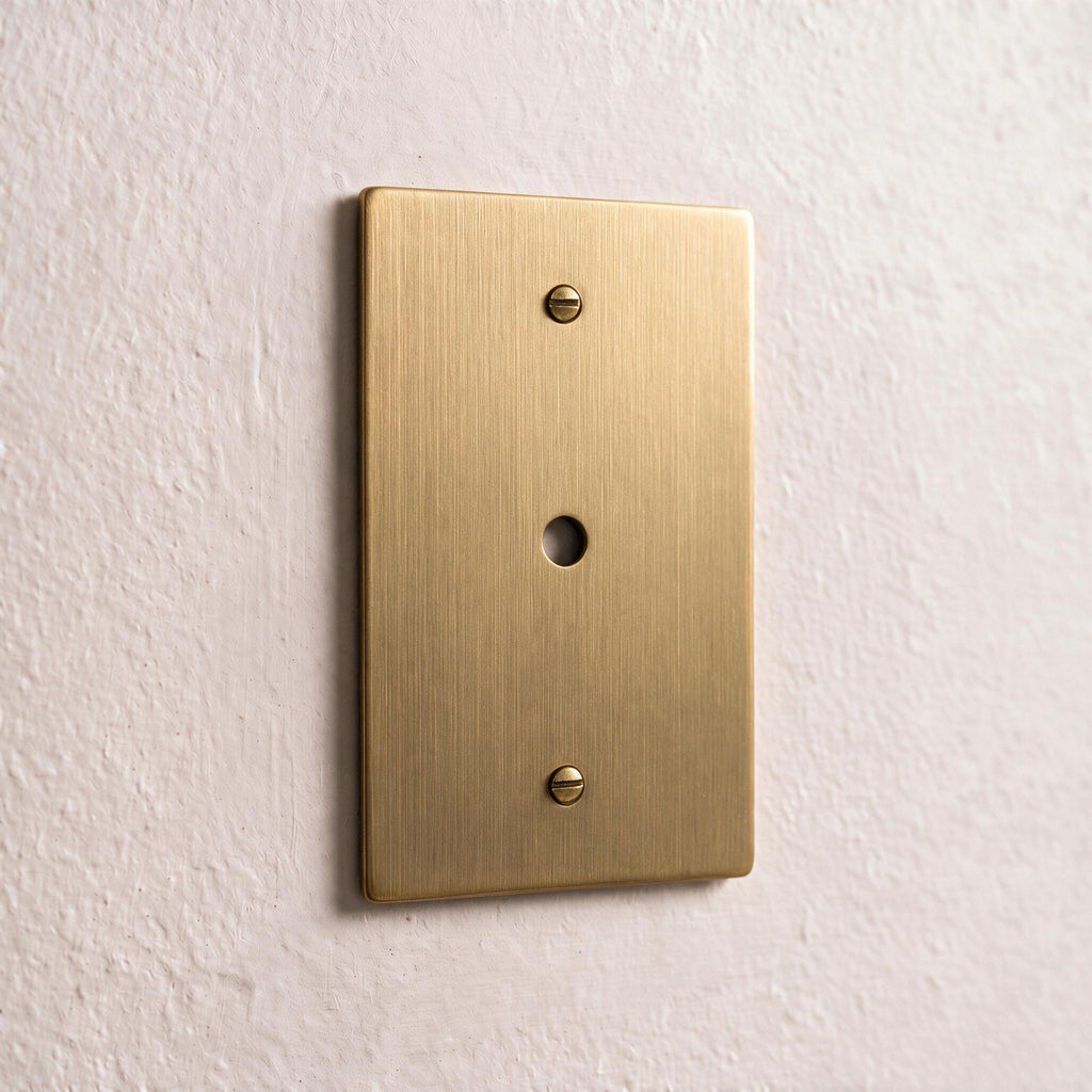 1-Gang Brass Dimmer Wall Plate (Rotary Opening)