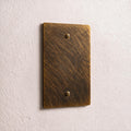 1-Gang Brass Blank Wall Plate