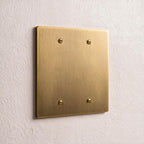 2-Gang Brass Blank Wall Plate