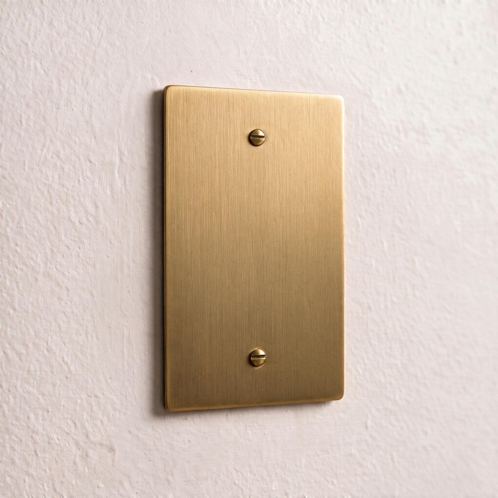 1-Gang Brass Blank Wall Plate