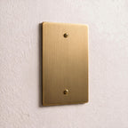 1-Gang Brass Blank Wall Plate