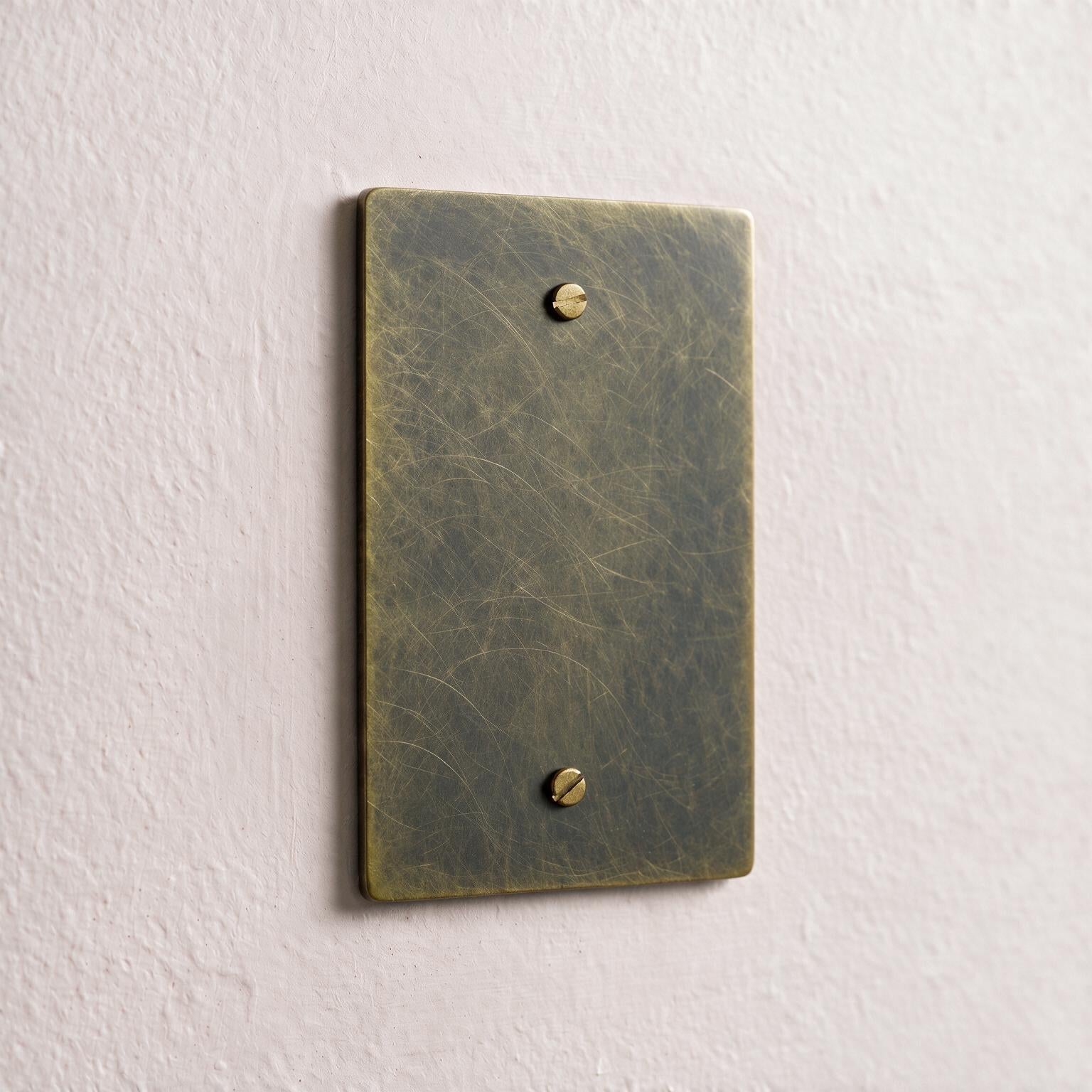 1-Gang Brass Blank Wall Plate